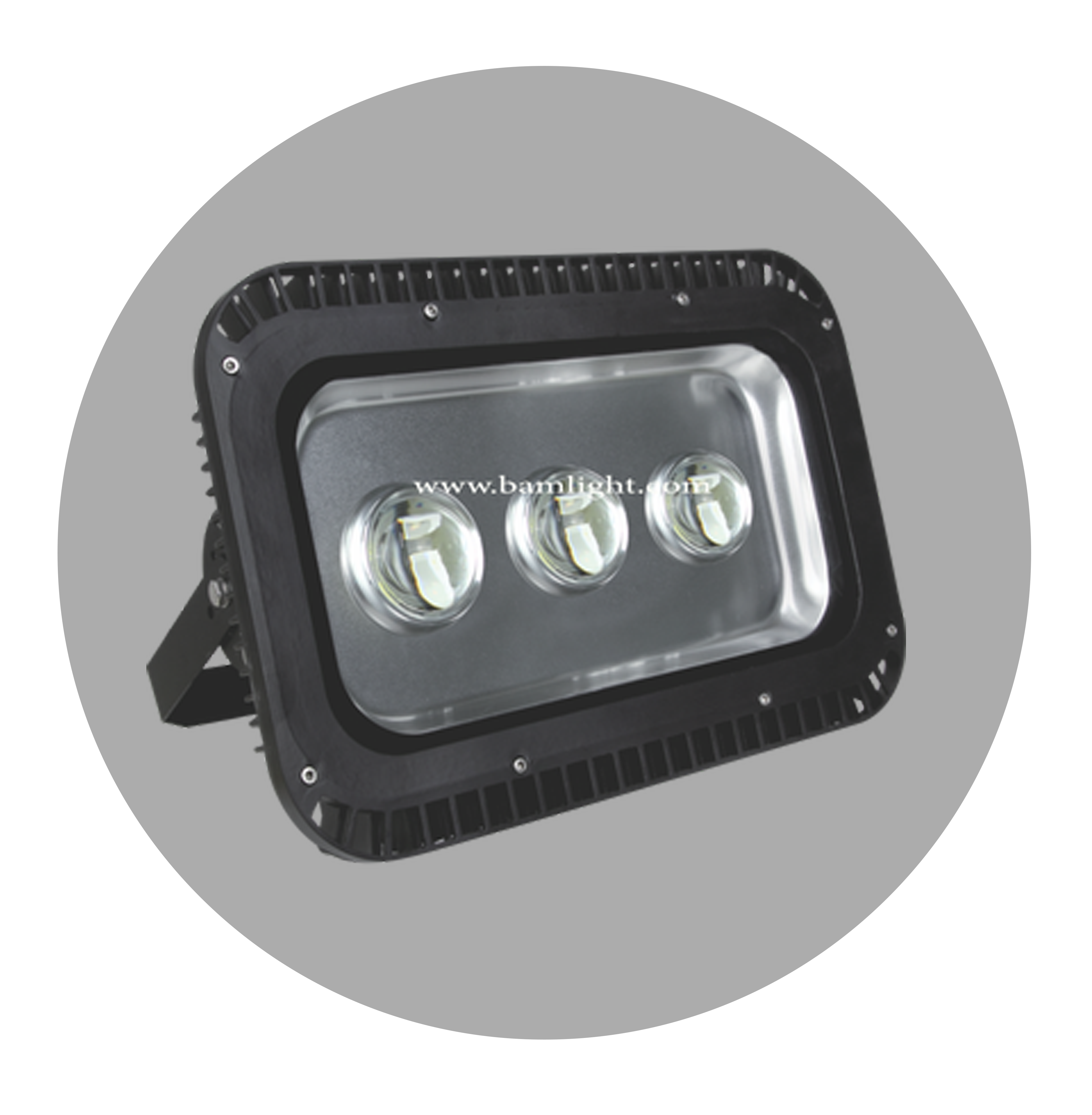 Flood and Projector Light